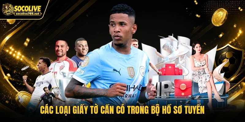 Các loại giấy tờ cần có trong bộ hồ sơ tuyển Các loại giấy tờ cần có trong bộ hồ sơ tuyển