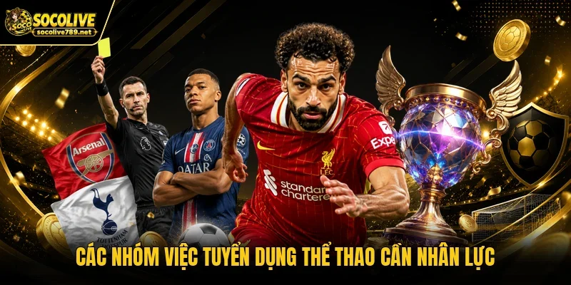 Các nhóm việc tuyển dụng thể thao cần nhân lực Các nhóm việc tuyển dụng thể thao cần nhân lực