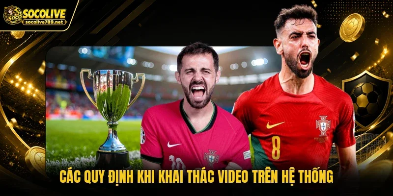 Các quy định khi khai thác video trên hệ thống