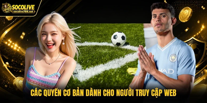 Các quyền cơ bản dành cho người truy cập web Các quyền cơ bản dành cho người truy cập web
