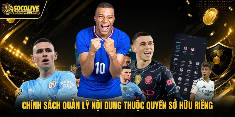 Chính sách quản lý nội dung thuộc quyền sở hữu riêng Chính sách quản lý nội dung thuộc quyền sở hữu riêng