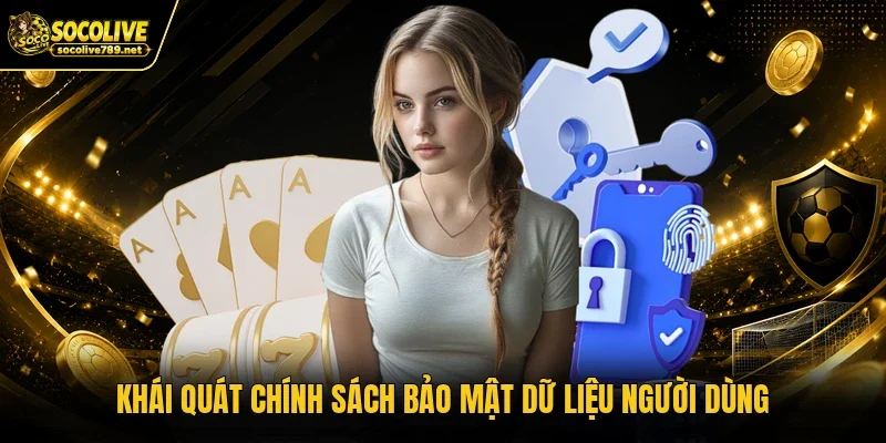 Khái quát chính sách bảo mật dữ liệu người dùng