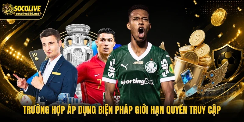 Trường hợp áp dụng biện pháp giới hạn quyền truy cập Trường hợp áp dụng biện pháp giới hạn quyền truy cập
